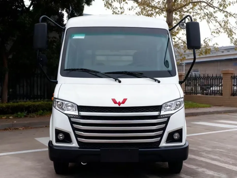 Autobus d'essence utilisé par 11 sièges