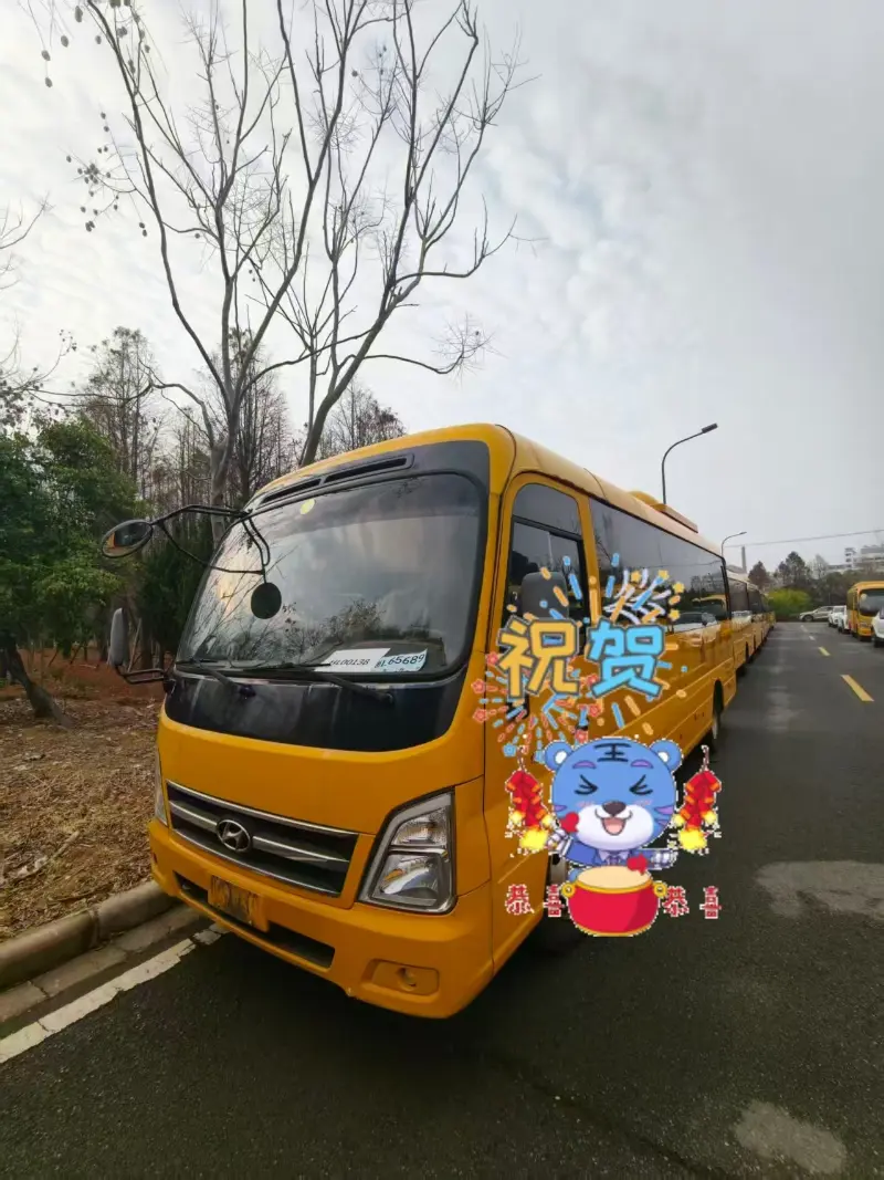 L'activité des bus de passagers d'occasion de Honglong en Chine progresse régulièrement en mars ; Plusieurs véhicules livrés à des clients mondiaux